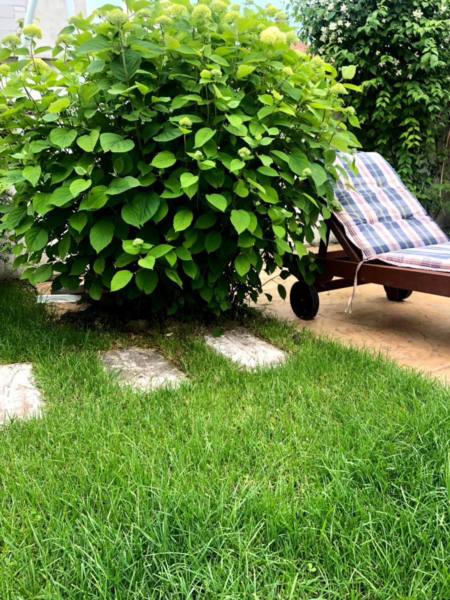 Red House Family Hotel Rawda Zewnętrze zdjęcie